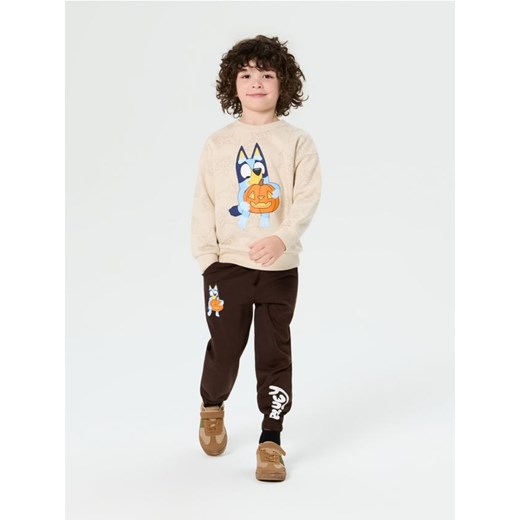 Sinsay - Spodnie jogger z nadrukiem Bluey - brązowy - id: 604FF-89X - marki Sinsay - 186083231 Sinsay - Spodnie jogger z nadrukiem Bluey - brązowy ze sklepu Sinsay w kategorii Spodnie chłopięce - zdjęcie 186083231
