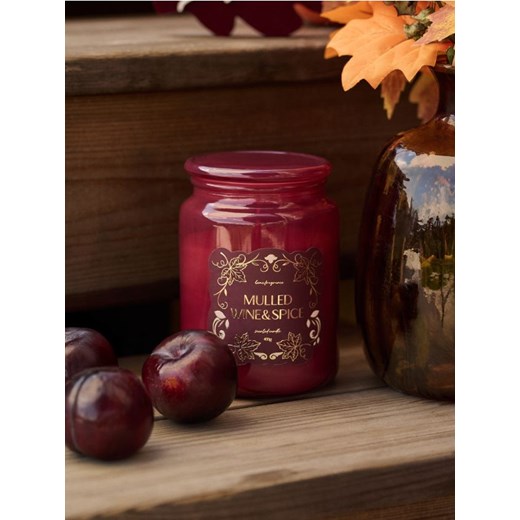 Sinsay - Świeczka Mulled Wine & Spice - fioletowy - id: 799FV-34X - marki Sinsay - 186083653 Sinsay - Świeczka Mulled Wine & Spice - fioletowy ze sklepu Sinsay w kategorii Świece i dyfuzory - zdjęcie 186083653