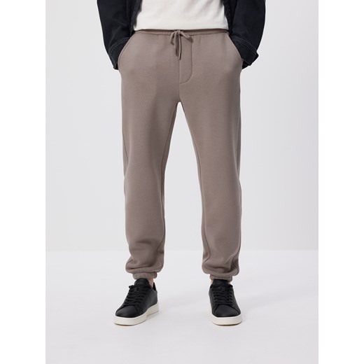 Reserved - Spodnie dresowe regular fit - szary ze sklepu Reserved w kategorii Spodnie męskie - zdjęcie 186182274
