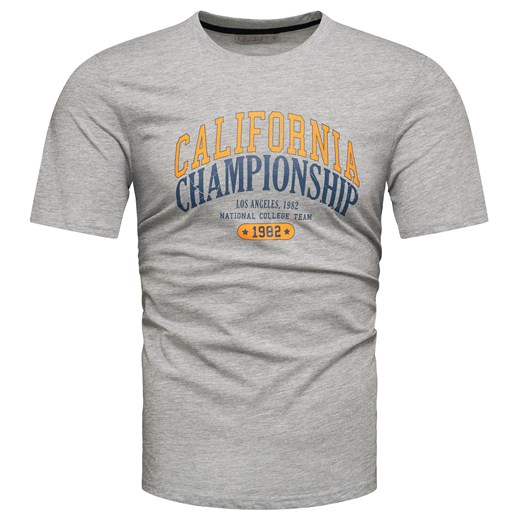 Koszulka bawełniana męska t-shirt z printem szary Recea ze sklepu Recea.pl w kategorii T-shirty męskie - zdjęcie 186195911