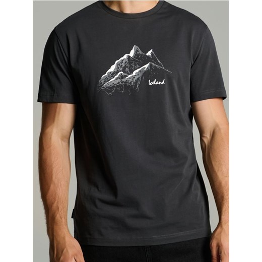 Sinsay - Koszulka regular z nadrukiem - szary ze sklepu Sinsay w kategorii T-shirty męskie - zdjęcie 186199712