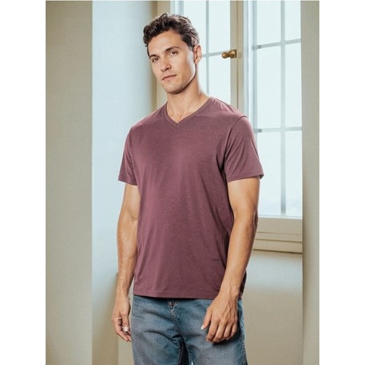 Sinsay - Koszulka basic z dekoltem w serek - fioletowy ze sklepu Sinsay w kategorii T-shirty męskie - zdjęcie 186218020