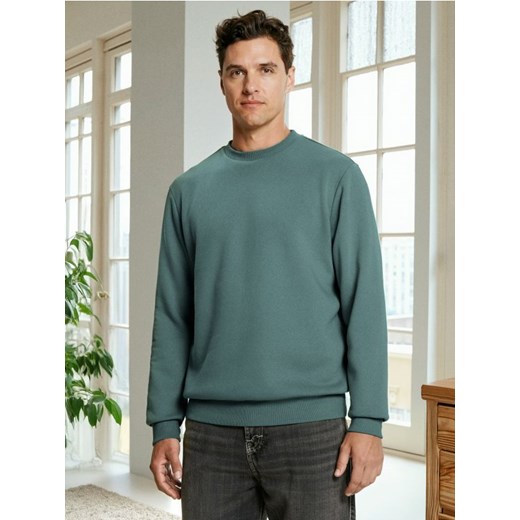 Sinsay - Bluza z długim rękawem - zielony ze sklepu Sinsay w kategorii Bluzy męskie - zdjęcie 186231402