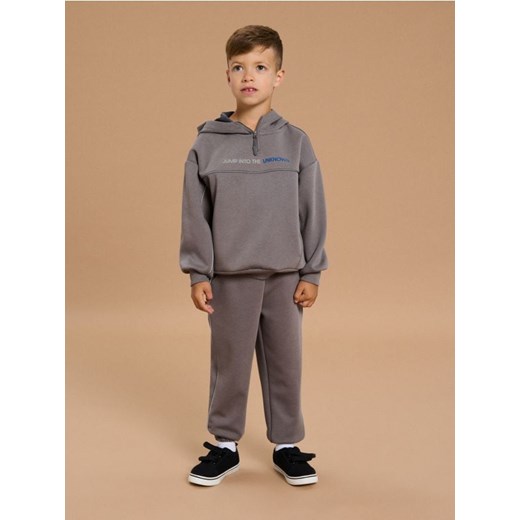 Sinsay - Spodnie jogger - szary - id: 369FC-90X - marki Sinsay - 186231422 Sinsay - Spodnie jogger - szary ze sklepu Sinsay w kategorii Spodnie chłopięce - zdjęcie 186231422