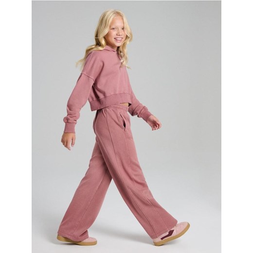 Sinsay - Komplet: bluza i spodnie - różowy ze sklepu Sinsay w kategorii Komplety dziewczęce - zdjęcie 186244872
