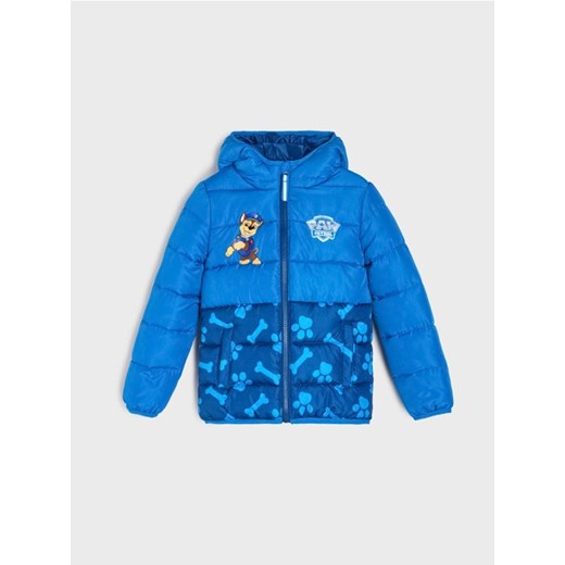 Sinsay - Pikowana kurtka z kapturem PAW Patrol - mid blue ze sklepu Sinsay w kategorii Kurtki chłopięce - zdjęcie 186263903