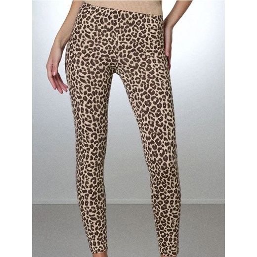 Sinsay - Bawełniane legginsy ze wzorkiem - wielobarwny Sinsay S Sinsay