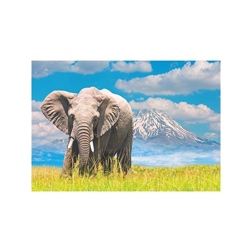Ravensburger 300-częściowe puzzle "African Elephant" - 10+ Ravensburger onesize Limango Polska okazyjna cena