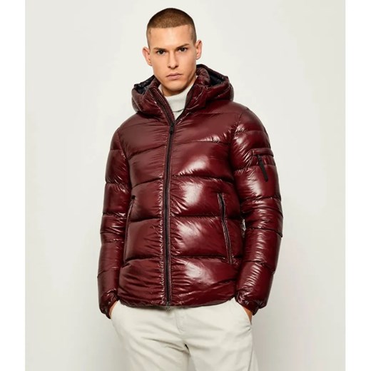 Hetrego Puchowa kurtka SCOTT | Regular Fit ze sklepu Gomez Fashion Store w kategorii Kurtki męskie - zdjęcie 186466623