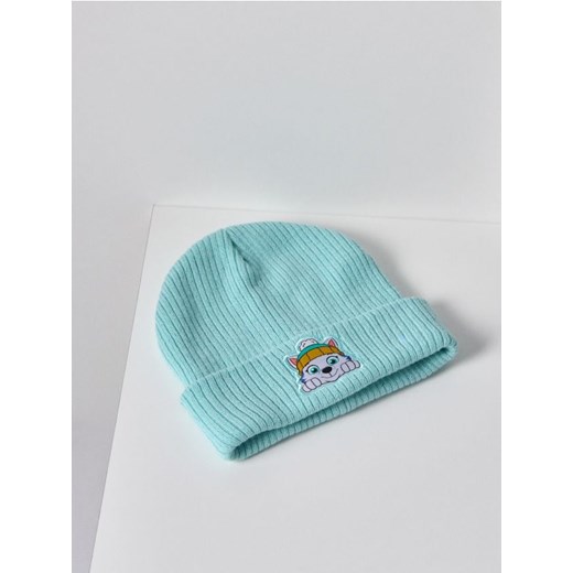 Sinsay - Czapka beanie PAW Patrol - zielony - id: 010FU-07X - marki Sinsay - 186480544 Sinsay - Czapka beanie PAW Patrol - zielony ze sklepu Sinsay w kategorii Czapki dziecięce - zdjęcie 186480544