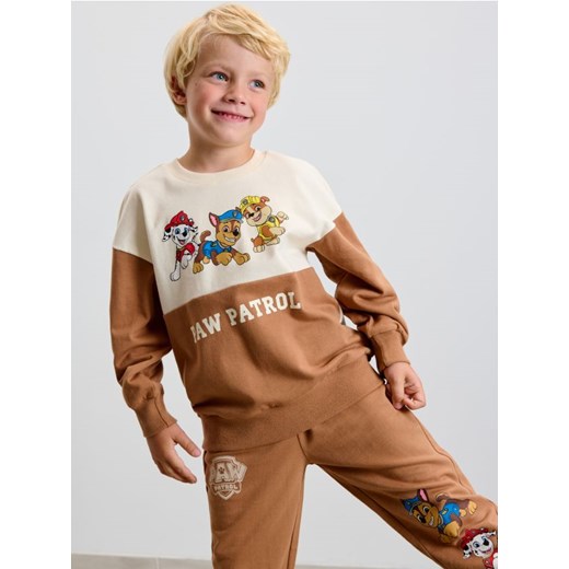 Sinsay - Bluza crewneck PAW Patrol - wielobarwny ze sklepu Sinsay w kategorii Bluzy chłopięce - zdjęcie 186495392