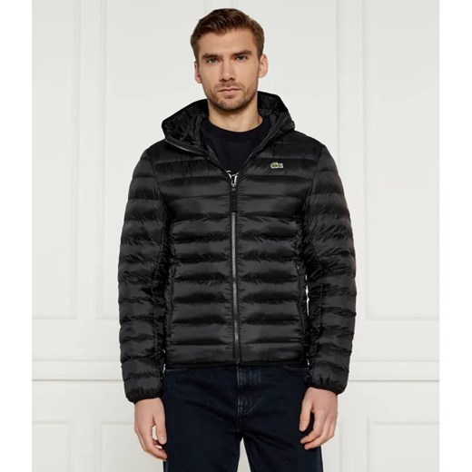 Lacoste Kurtka | Regular Fit Lacoste 50 Gomez Fashion Store