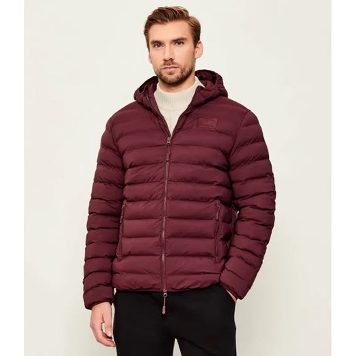 EA7 Kurtka | Regular Fit ze sklepu Gomez Fashion Store w kategorii Kurtki męskie - zdjęcie 186545293