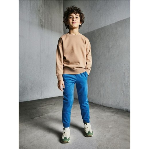 Sinsay - Spodnie dresowe z przeszyciami - niebieski ze sklepu Sinsay w kategorii Spodnie chłopięce - zdjęcie 186558002