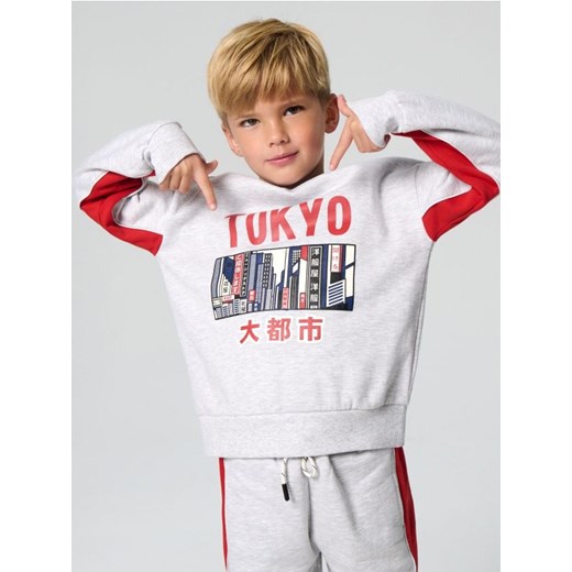 Sinsay - Bluza z nadrukiem - szary ze sklepu Sinsay w kategorii Bluzy chłopięce - zdjęcie 186597283