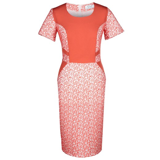 Sukienka FSU404 CEGLASTY EKRI ze sklepu fokus.pl w kategorii Sukienki - zdjęcie 186620611