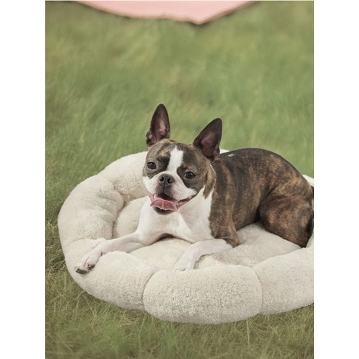 Sinsay - Legowisko dla kota w kształcie kwiata - kremowy ze sklepu Sinsay w kategorii Dla zwierząt - zdjęcie 186748923