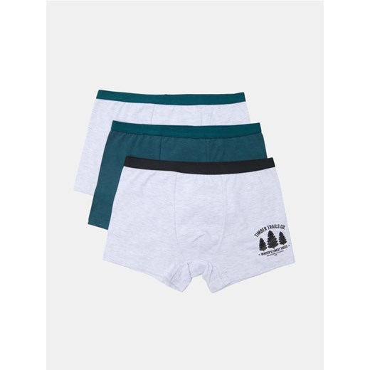 Sinsay - Bokserki 3 pack - wielobarwny - id: 004GS-MLC - marki Sinsay - 187236172 Sinsay - Bokserki 3 pack - wielobarwny ze sklepu Sinsay w kategorii Majtki dziecięce - zdjęcie 187236172