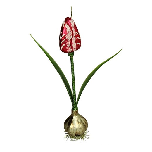 Kersten Ozdoba choinkowa "Tulip" w kolorze czerwono-zielonym - wys. 20,3 cm - id: 17896780 - marki Kersten - 187252583 Kersten Ozdoba choinkowa "Tulip" w kolorze czerwono-zielonym - wys. 20,3 cm ze sklepu Limango Polska w kategorii Dekoracje bożonarodzeniowe - zdjęcie 187252583