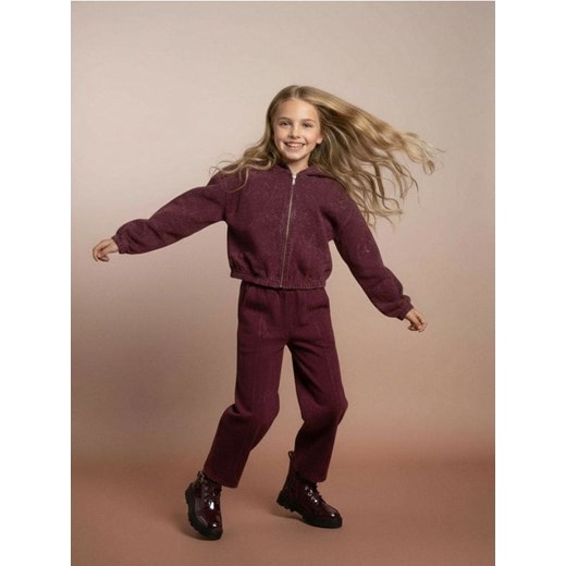 Sinsay - Bluza z kapturem z efektem sprania - bordowy - id: 278GW-53X - marki Sinsay - 187266293 Sinsay - Bluza z kapturem z efektem sprania - bordowy ze sklepu Sinsay w kategorii Bluzy dziewczęce - zdjęcie 187266293