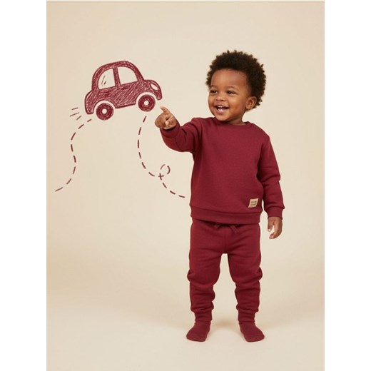 Sinsay - Komplet: bluza i spodnie - bordowy ze sklepu Sinsay w kategorii Komplety niemowlęce - zdjęcie 187266543