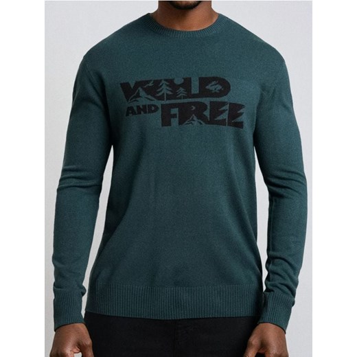 Sinsay - Sweter - zielony ze sklepu Sinsay w kategorii Swetry męskie - zdjęcie 187280792