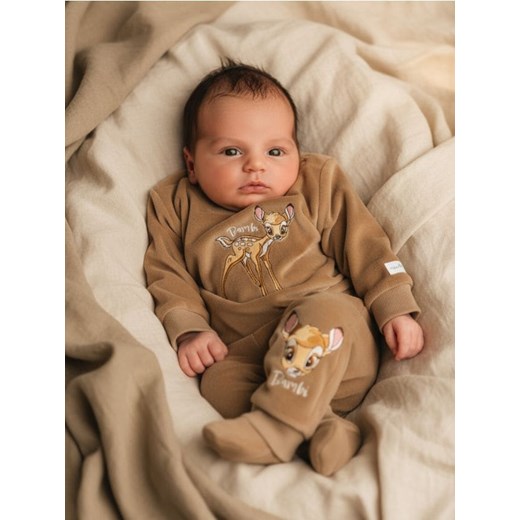 Sinsay - Komplet: bluza i spodnie Bambi - brązowy ze sklepu Sinsay w kategorii Odzież dla niemowląt - zdjęcie 187297224