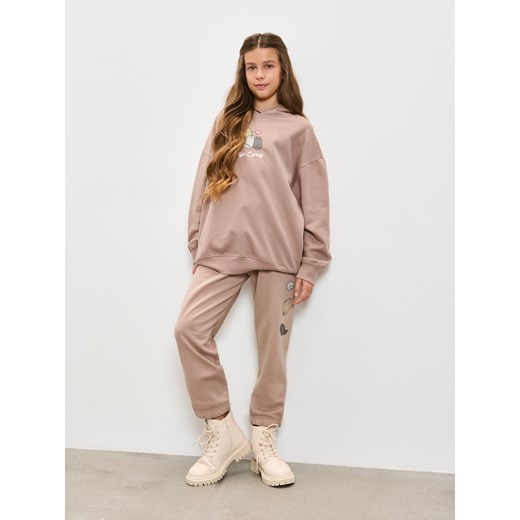 Sinsay - Bluza hoodie Pusheen the Cat - brązowy Sinsay 164 (13-14 l) Sinsay