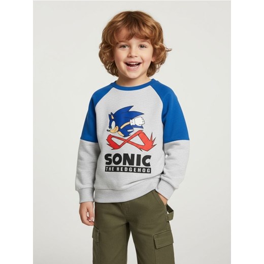 Sinsay - Bluza Sonic the Hedgehog - szary ze sklepu Sinsay w kategorii Bluzy chłopięce - zdjęcie 187333150