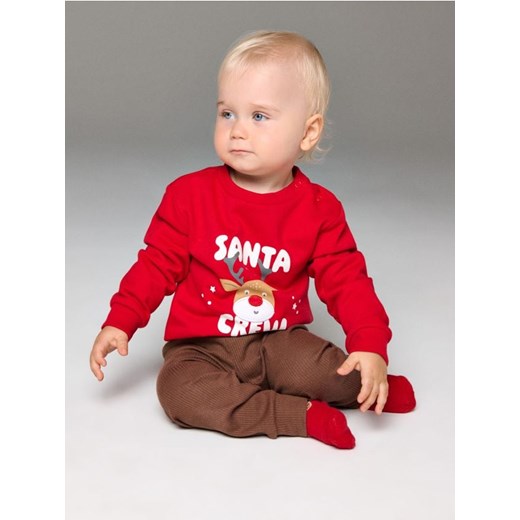 Sinsay - Bluza crewneck z motywem świątecznym - czerwony Sinsay 98 (2-3 l) Sinsay