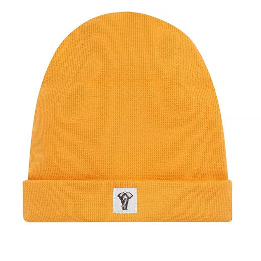 Czapka sci SAFARI pomarańczowy 98/104 ze sklepu lenaodniemowlakadoszkolniaka.pl w kategorii Czapki dziecięce - zdjęcie 187402381