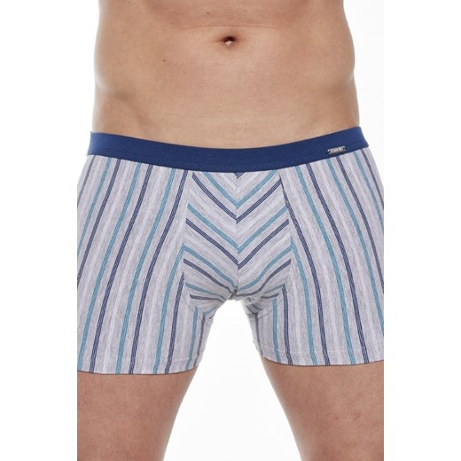 Bokserki majtki męskie VARIOUS Mini 228/131 ze sklepu lenaodniemowlakadoszkolniaka.pl w kategorii Majtki męskie - zdjęcie 187407103