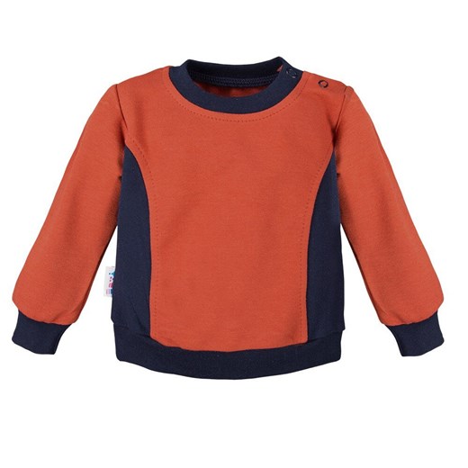 Bluza dresowa dla chłopca Ewa klucze Adventura ze sklepu lenaodniemowlakadoszkolniaka.pl w kategorii Odzież dla niemowląt - zdjęcie 187416040