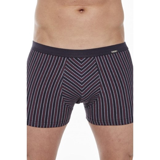 Bokserki majtki męskie VARIOUS Mini 228/135 ze sklepu lenaodniemowlakadoszkolniaka.pl w kategorii Majtki męskie - zdjęcie 187416153