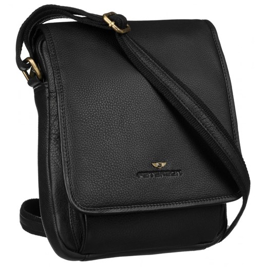 Torba saszetka listonoszka męska na ramię Peterson ze sklepu lenaodniemowlakadoszkolniaka.pl w kategorii Torby męskie - zdjęcie 187418753