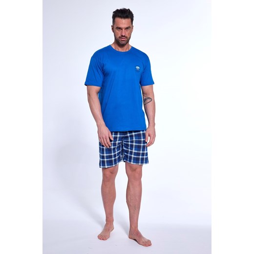 Piżama 326/187 West coast piżama męska ze sklepu lenaodniemowlakadoszkolniaka.pl w kategorii Piżamy męskie - zdjęcie 187438282