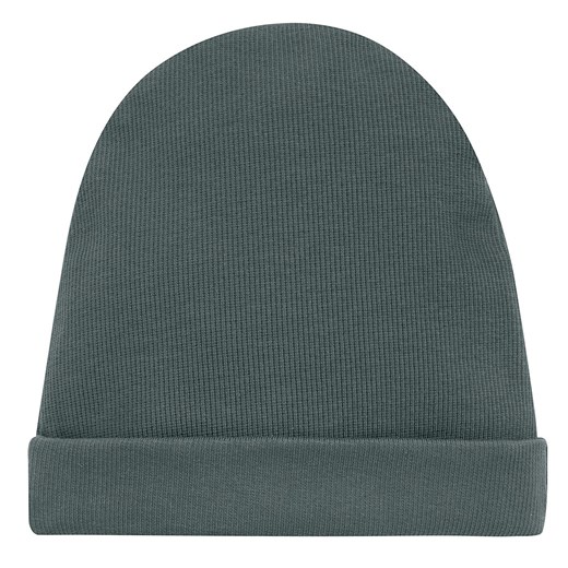 CZAPKA SCI LE TIGRE zielony 98/104 ze sklepu lenaodniemowlakadoszkolniaka.pl w kategorii Czapki dziecięce - zdjęcie 187469474