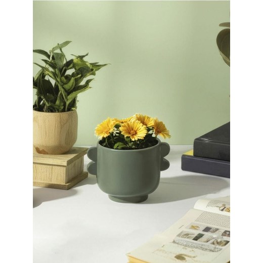 Sinsay - Doniczka z uchwytami - zielony ze sklepu Sinsay w kategorii Doniczki i osłonki - zdjęcie 187495770