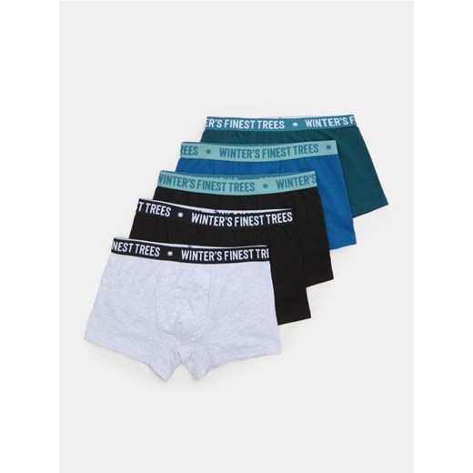 Sinsay - Bokserki Classic 5 pack - wielobarwny ze sklepu Sinsay w kategorii Majtki dziecięce - zdjęcie 187500414