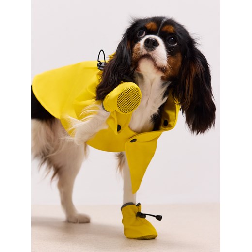 Mohito - Żółte buty dla psa - żółty ze sklepu Mohito w kategorii Dla zwierząt - zdjęcie 187507020