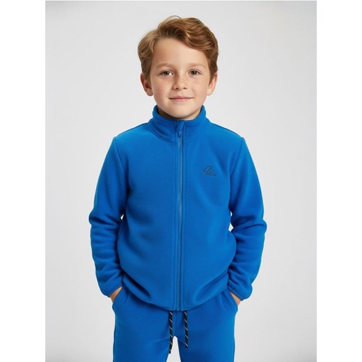 Sinsay - Polarowa bluza ze stójką Active - niebieski ze sklepu Sinsay w kategorii Bluzy chłopięce - zdjęcie 187513491