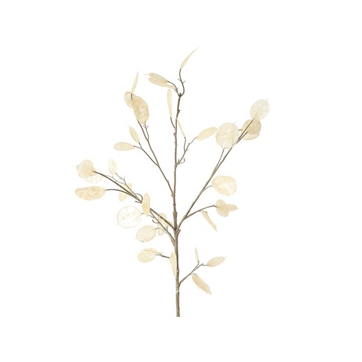 Boltze Gałązka dekoracyjna w kolorze beżowym - wys. 19 cm ze sklepu Limango Polska w kategorii Doniczki i osłonki - zdjęcie 187515263