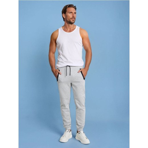 Sinsay - Joggery dresowe - szary ze sklepu Sinsay w kategorii Spodnie męskie - zdjęcie 187535904