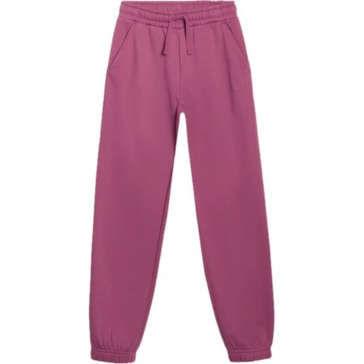 Spodnie dresowe dziewczęce TTROF1249 4F ze sklepu SPORT-SHOP.pl w kategorii Spodnie dziewczęce - zdjęcie 187556691