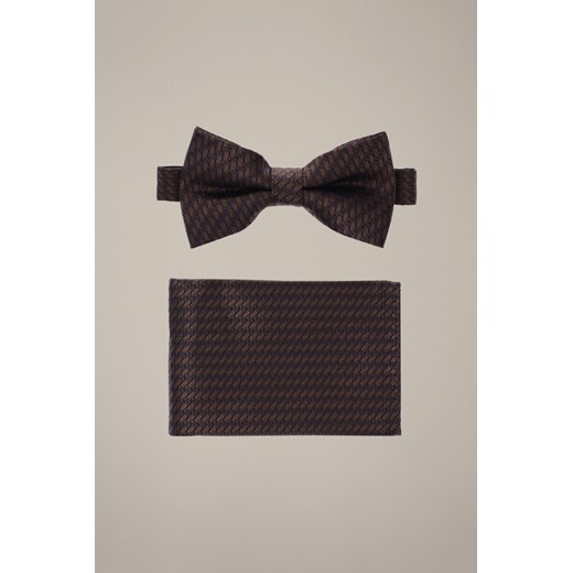 Mucha Brązowa Plus Poszetka Wzór ze sklepu Lancerto S.A. w kategorii Muchy - zdjęcie 187563614