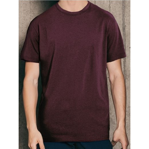 Sinsay - Koszulka basic - bordowy ze sklepu Sinsay w kategorii T-shirty męskie - zdjęcie 187600894
