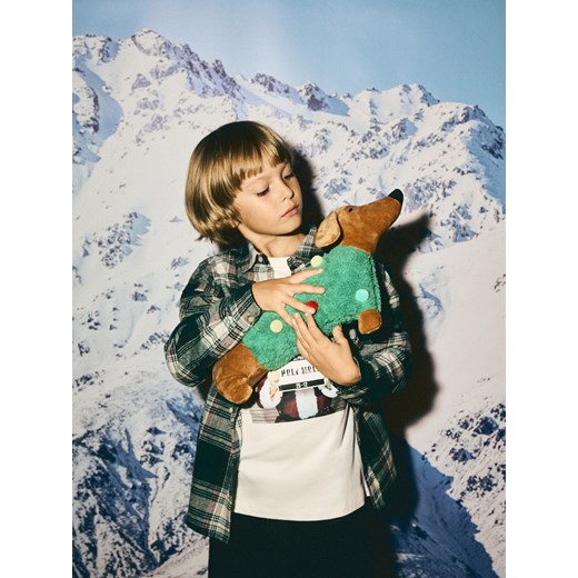 Reserved - Bawełniana koszula w kratę - zielony ze sklepu Reserved w kategorii Koszule chłopięce - zdjęcie 187603011