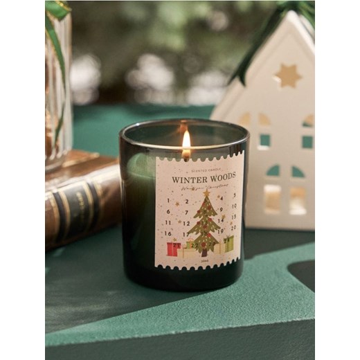 Sinsay - Świeczka z motywem zimowym Winter Woods - zielony Sinsay One Size Sinsay