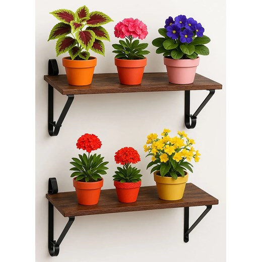 Komplet 2 brązowych półek wiszących na kwiaty L5-H80 ze sklepu Edinos.pl w kategorii Półki - zdjęcie 187621751