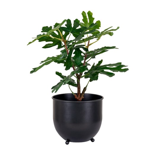 House Nordic Sztuczna roślina &quot;Fig Tree&quot; w kolorze zielonym - wys. 50 cm ze sklepu Limango Polska w kategorii Doniczki i osłonki - zdjęcie 187636914